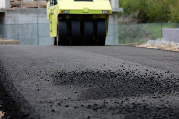 Best Professional Driveway Pavers  in Shenandoah, IA