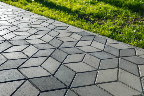 Best Driveway Paving Contractor  in Shenandoah, IA