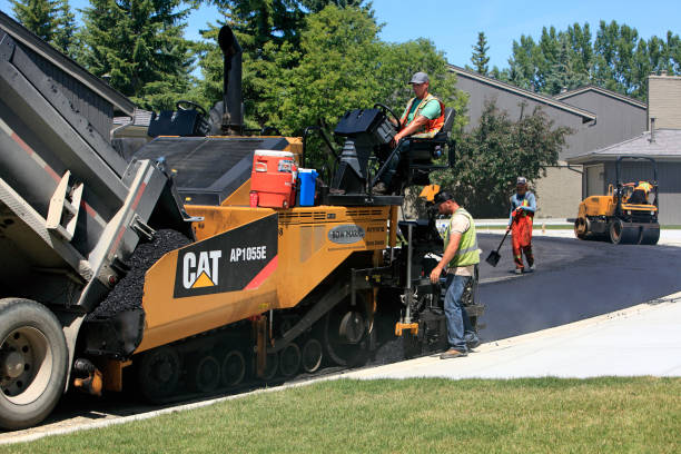 Best Driveway Repair Near Me  in Shenandoah, IA